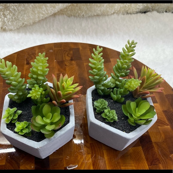 Faux succulents, 3-4 in 2”H hexagon shaped pots (2 available for purchase) - Picture 13 of 14